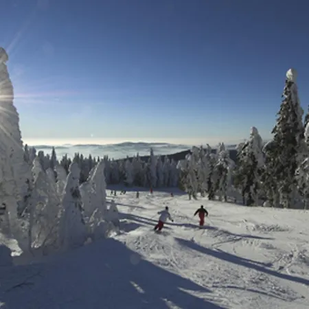Hotel Hochficht Klaffer am Hochficht